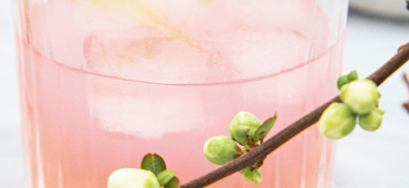 Rhabarbersirup gibt Energie